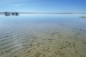 Sandy Shallows - Image 2