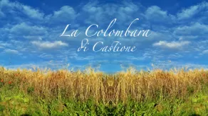 La Colombara di Castione - Image 3