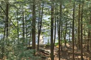 Waterfront Log Home on Huge Lake in Private Cove - Image 2