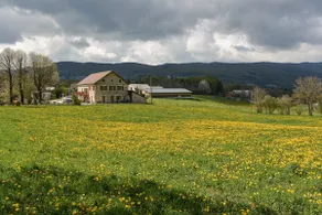 Gîte Le Chalimont - Image 2
