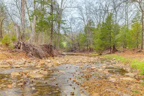 4,800-sq-ft Cabin w/ Creek Access in Caulfield - Image 3