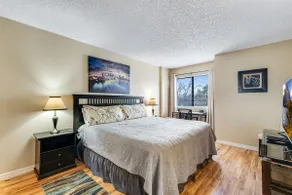 Quiet, pet-friendly DTC Retreat with Workspace - Image 2