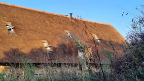 The Cottage - Image 2