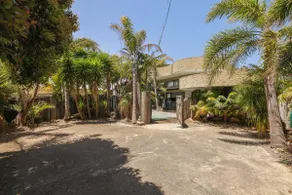 Island Paradise - Image 3