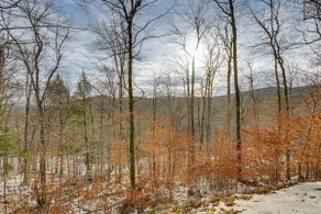 Near Okemo & Killington: Home w/ Sauna & Fireplace - Image 2