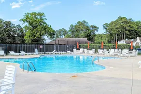 Beach Resort: Pool, Golf, Sunroom & More! - Image 4