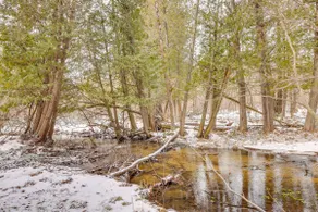 On-Site Trails & Trout Stream! NW Michigan Escape - Image 2