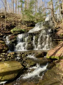 NEW: Serene Home - 100 Acres w/ Waterfall & Hiking - Image 4