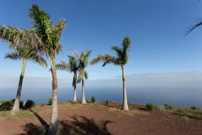 Ocean view, private garden - Image 2