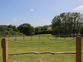Owl's Hollow - Image 5