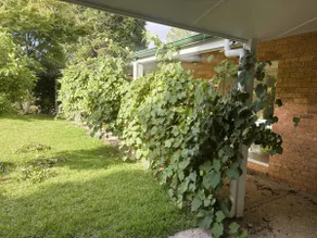 Spacious 3BR Getaway in Leura | Prime Location - Image 5