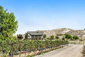Kerry Hill Manor, Vineyard Estate & Views - Image 3