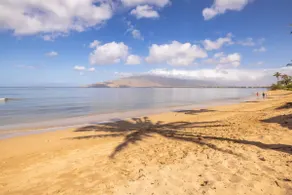Maui Sunset A111 - Image 2