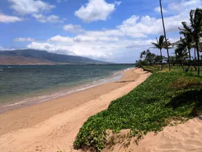 Maui Sunset A111 - Image 5