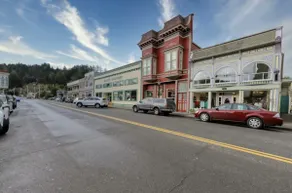Historic Ferndale Home - Image 4