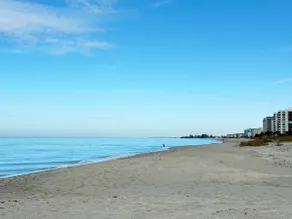 Lovely Venice Beach Studio (2 min. Walk to Beach) - Image 3