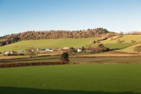 Llancayo Windmill - Image 3