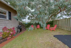 Dog-friendly cottage with great location, cozy int - Image 3