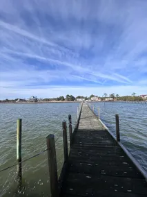 Peaceful Waterfront Retreat w/ Private Dock - Image 3