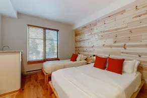 True ski-in - ski-out at Solitude Resort Creekside - Image 3