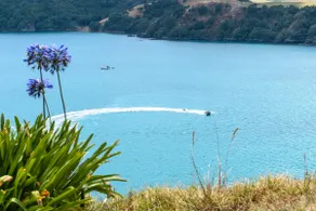 ONETANGI BELLE: Costa y País - Image 4