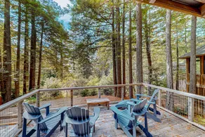 Forested home with deck & grill near the Lodge, do - Image 4