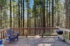 Deep Woods Hideaway - Dog-friendly forest retreat - Image 3