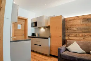 Studio with garden and great views of the Hohe Munde - Image 2
