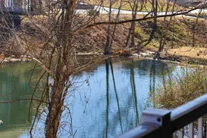 Branson Breeze Escape - Image 4