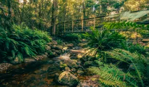 Pademelon Cottage at Wilder - Image 4