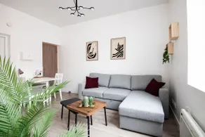 One-bedroom apartment - Lille Fives metro - Image 2