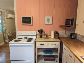 Charming, treetop Indian River Hideaway - Image 4