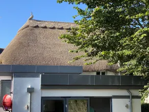 Hope Thatch - Image 4