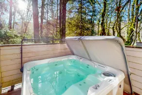 Mountain condo with pool tabl & private hot tub - - Image 3