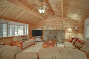 Woodsy Cabin with Private Hot Tub Game Tables & 8 SHARC Passes - Dogs OK - Image 2