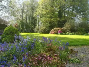 Carncairn West Wing, lovely  private appartment - Image 3