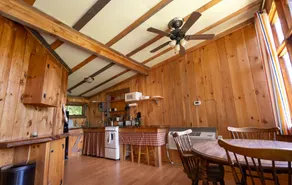 Cozy cabin 150' from pristine Lake Armington - Image 4