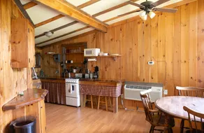Cozy cabin 150' from pristine Lake Armington - Image 2