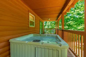 CHARMING LAKE VIEW CABIN |HOT TUB | GAME ROOM | - Image 3