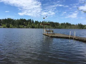 Unique Waterfront Cottage 34 mi to Mt Rainier - Image 2
