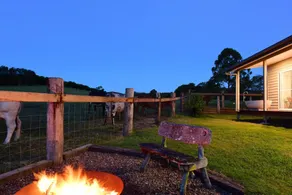 Wild Duck Farm - The Cabin - Image 5