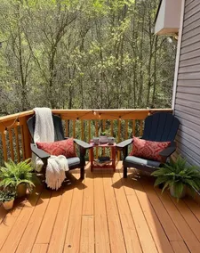 DT Asheville 16 mi Peaceful & Secluded Mt View - Image 3