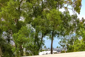 Noosa Unit - Image 4