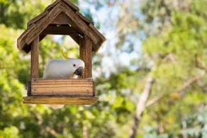 Ashling - Pet Friendly cottage with free Wifi - Image 5
