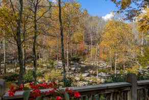 A River Runs Through It - Image 4