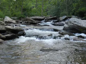 A River Runs Through It - Image 2
