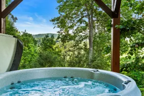 Mountain Laurel Lodge - Image 2