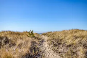 Classic Wood-Lined Oceanfront Cottage med nem adgang til stranden i Waldport! - Image 3