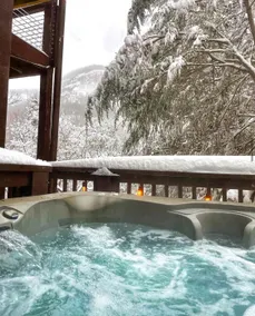 Incredible waterfall mtn views| HotTub| FencedYARD - Image 3