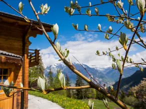 Feriehus i La Tzoumaz, 4 Vallees, Switzerland för 6 personer - Image 4